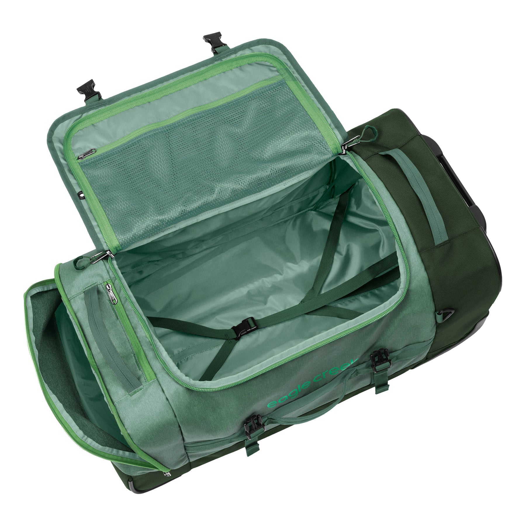 DUCK GREEN