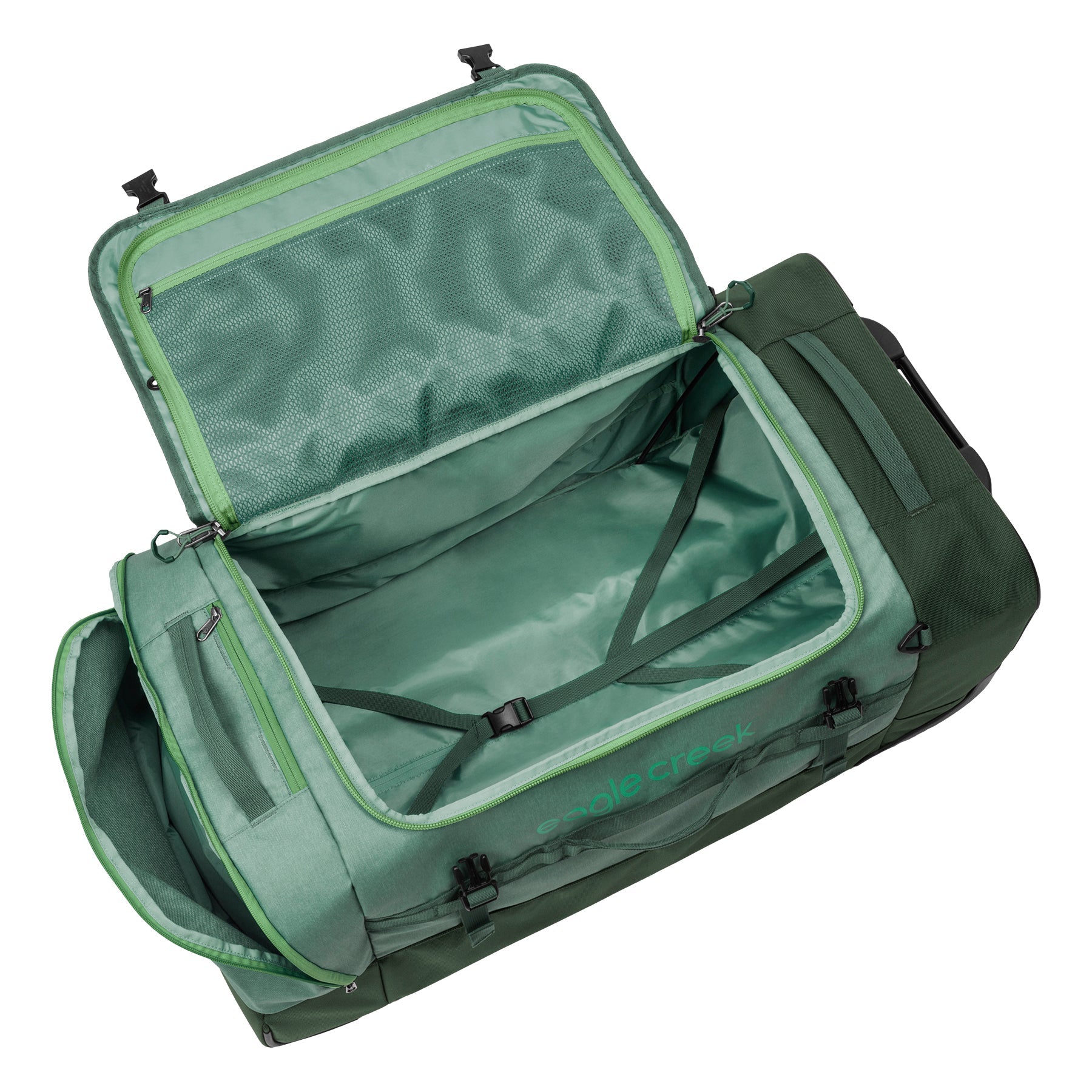 DUCK GREEN
