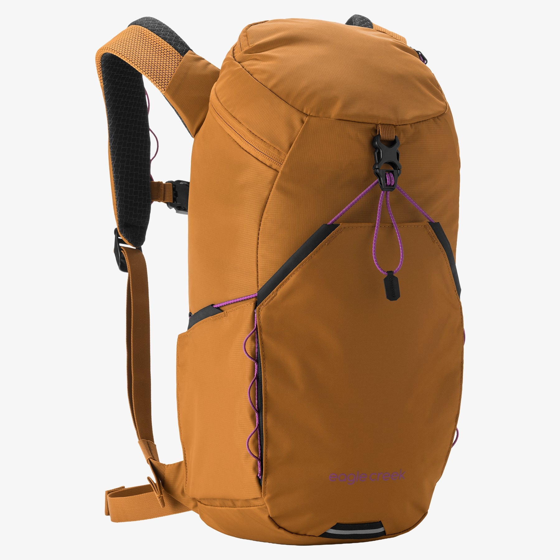 Eagle Creek Backpacks