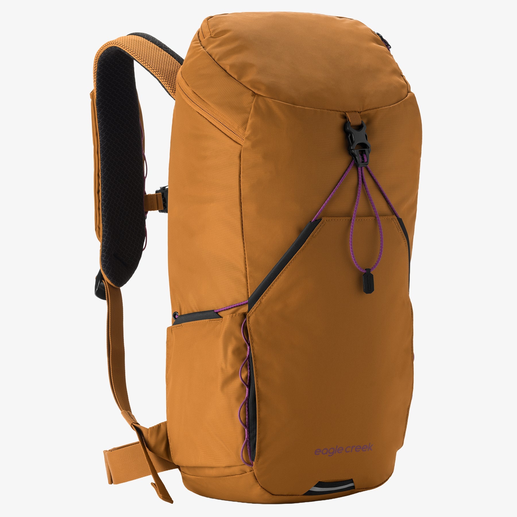 Eagle Creek Backpacks